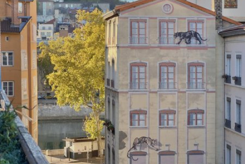 Appartement,À vendre,Lyon 1er arrondissement