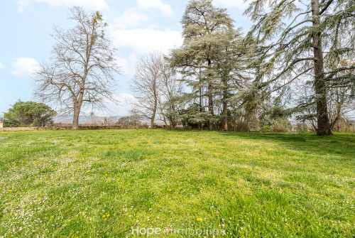 Appartement,À vendre,Chasselay